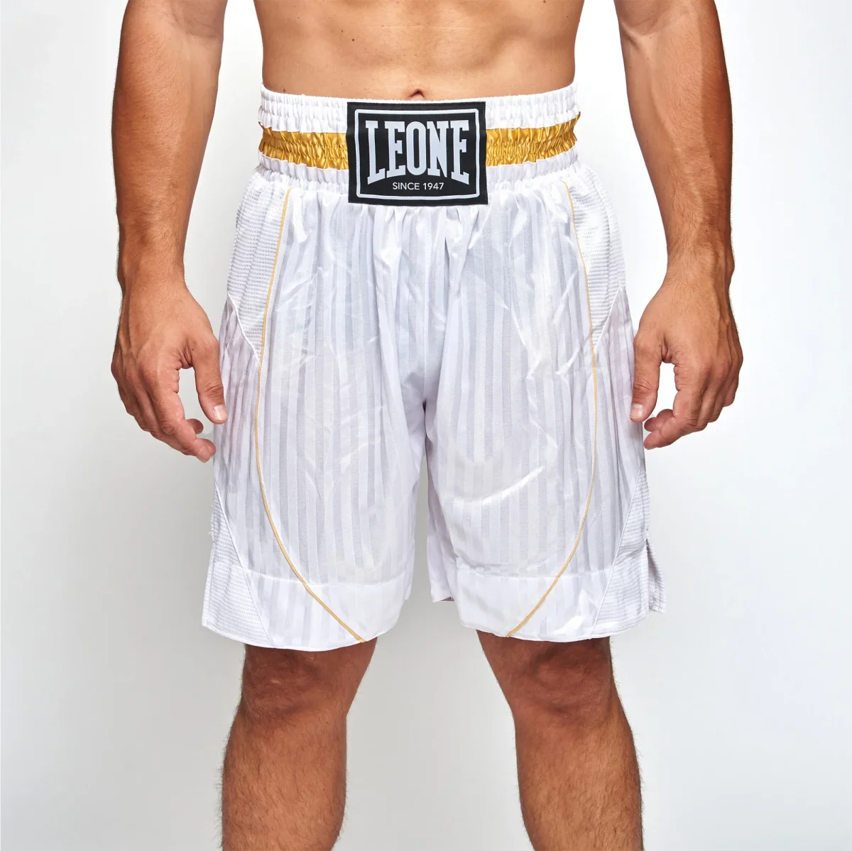 Calções de Boxe Leone Premium AB240 - Image 8