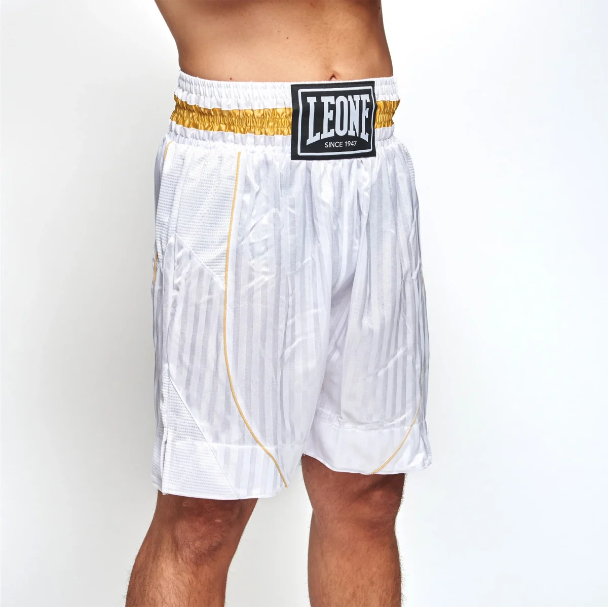Calções de Boxe Leone Premium AB240 - Image 9